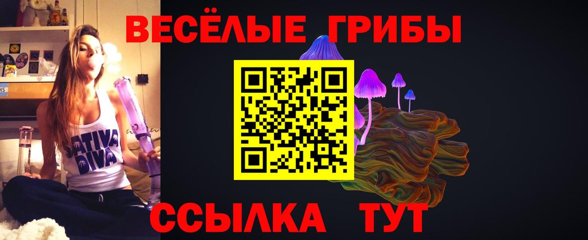Шелехов  Псилоцибиновые грибы Cubensis  Вход с VPN 